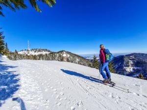 Almbauer Morgenbesser durante l'inverno