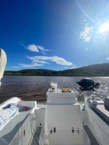 een kat op de rug van een boot op het water bij Houseboats - Living The Breede - Valid Skippers License compulsory in Malgas