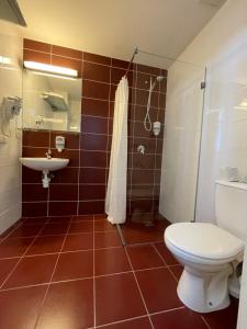 W łazience znajduje się toaleta, umywalka i prysznic. w obiekcie Green Vilnius Hotel w Wilnie