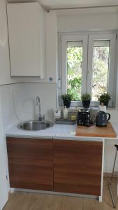 a kitchen counter with a sink and two windows at Blue Star Apartments in Dubrovnik