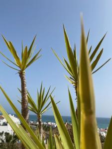 Fotografia z galérie ubytovania 3 Bedroom apartment with beautiful sea views v destinácii Manilva