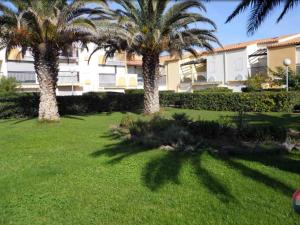 dwie palmy na dziedzińcu przed budynkiem w obiekcie AQUAPLAGE Joli appartement RDC piscine 1 ère ligne mer Richelieu Cap d'Agde w Cap d'Agde