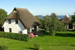dom z dachem krytym strzechą na zielonym polu w obiekcie strandnahe Idylle am Meer, private Badestelle, Strandkorb - Gutshof Ostseeblick w mieście Neuendorf