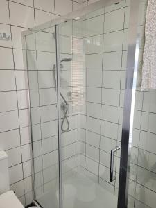 y baño con ducha y puerta de cristal. en Edelweiss Guest House, en Southend-on-Sea