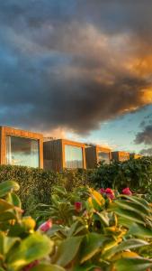 a building with windows and flowers in front of it at Mosteiros Place in Mosteiros