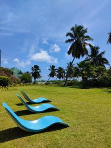 two blue and yellow chairs on a grass field at Villa Luana Yuna in Au Cap