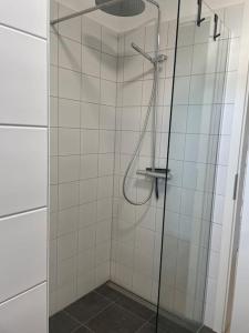 a bathroom with a shower with a glass door at Große Moderne Penthouse Wohnung Mit Dachterrasse in Uetersen