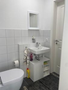 a white bathroom with a toilet and a sink at Große Moderne Penthouse Wohnung Mit Dachterrasse in Uetersen +19 photos