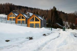 a row of houses in the snow at Beskidzkie Super Stodoły in Zawoja