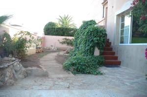 Ein Haus mit einem Efeu, der seitlich wächst in der Unterkunft Hostal Paris Ciutadella in Ciutadella