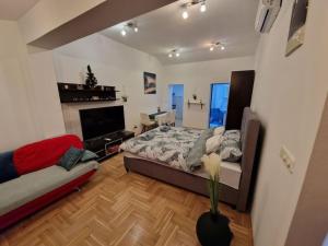sypialnia z łóżkiem, kanapą i telewizorem w obiekcie Warm house full of green ambient,joy and comfort w Zagrzebiu