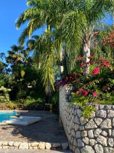 uma palmeira e uma parede de pedra ao lado de uma piscina em La maison d'Andréas em Le Gosier