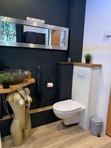 een badkamer met een wit toilet en een wastafel bij La Clé des Plaisirs in Chambéry