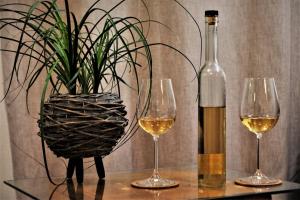 zwei Gläser Wein und eine Pflanze auf dem Tisch. in der Unterkunft OLD SQUARE HOUSE - HIŠA NA STAREM TRGU in Tolmin