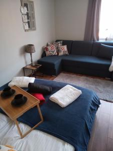 a living room with a blue couch and a blue blanket at Słoneczne studio in Szczawnica