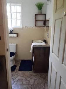 a bathroom with a toilet and a sink and a window at St. George's Holiday Studio Vacation of a lifetime in Fontenoy