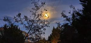 Fotografia z galérie ubytovania Βίλα με Υπέροχη Θέα Porto Cheli Villa Luxury Kounoupisea v destinácii Agios Aimillianos