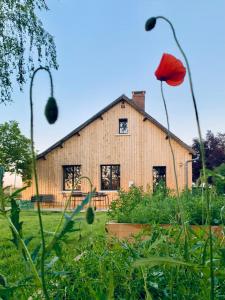 eine Scheune mit einer roten Blume im Garten in der Unterkunft LA CLEF DES CHAMPS 61 in La Chapelle-Souëf