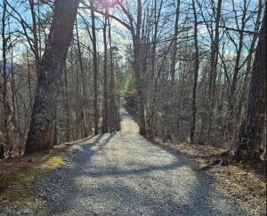 una carretera en el bosque con árboles a ambos lados en Endless Mountain Dreams en Gatlinburg