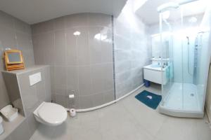 W łazience znajduje się prysznic, toaleta i umywalka. w obiekcie Le Pepin Dort w mieście Pepinster
