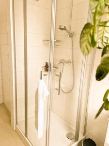 a shower with a glass door in a bathroom at Altstadt-Wohnung im Weidener Zentrum in Weiden