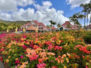 Aed väljaspool majutusasutust Curaçao 13 studio vue mer proche plage dans Complexe type Village Vacances