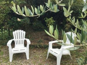 two white chairs sitting in a yard with plants at Le cottage normand in Saint-James