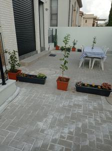 une terrasse avec une table, des chaises et des plantes dans l'établissement צימר ברחובות- Tara ארוח Tzimmer יש ממד במתחם, à Rechovot