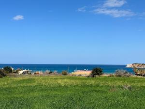 een groen veld met de oceaan op de achtergrond bij Gal House in Balíon