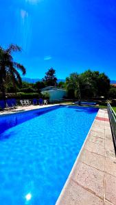 una gran piscina azul con sillas y árboles en Apart Hotel Piscu Yaco en Merlo