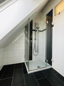 baño con ducha y puerta de cristal en Guesthouse David, en Augsburg