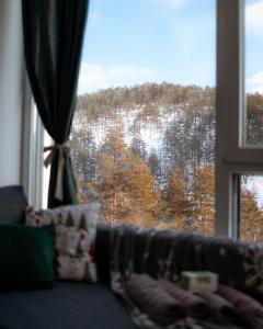 Kalnų panorama iš apartamentų arba bendras kalnų vaizdas