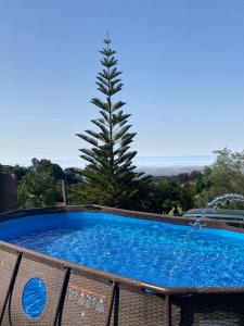 a swimming pool with a tree in the background at Casa Juana in Agua de Fontanales