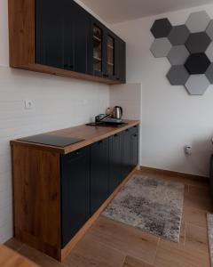 Virtuvė arba virtuvėlė apgyvendinimo įstaigoje Divchy dream studio