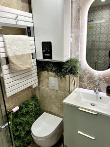a bathroom with a toilet and a sink and a mirror at Studio 2 neuf à 100m des plages et de la gare in Saint-Raphaël