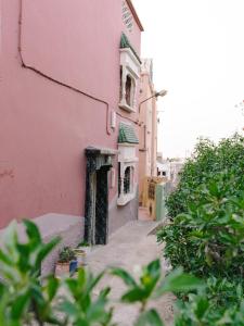 an alley in a pink building with plants in the foreground at Santacruz Hostel in Tamraght Ouzdar