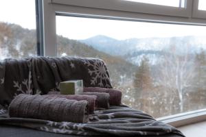 Kalnų panorama iš apartamentų arba bendras kalnų vaizdas