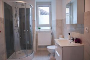 a bathroom with a shower and a toilet and a sink at RDC Parfait pour halte et séjour 2 chambres, tram-train, autoroute à proximité, parking gratuit in Mulhouse +10 photos