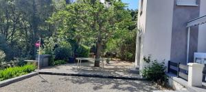 Imagen de la galería de villa denise 200 m riviere orb, en Cessenon