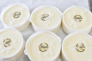 a group of plastic containers filled with cream cheese at Bubble Pingo do Mula Serra da Canastra in São Roque de Minas