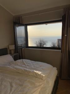 奧帕蒂亞的住宿－Opatija Apartment - Ocean Suite & Sea Breeze，一间卧室设有一张床和一个大窗户