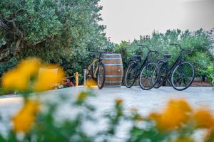 a group of bikes parked next to each other at B&B Pietre Preziose in Castelluzzo