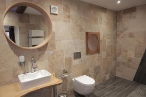 a bathroom with a toilet and a sink and a mirror at Le Domaine du Verger, Chambres et SPA prive in Osenbach