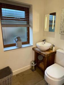 a bathroom with a sink and a toilet and a window at Hollies Cottage in Keighley