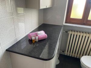 a bathroom counter with a pink towel and a toilet at Casa T Bed and Breakfast & Home Restaurant di Tacchino Simone in Tagliolo Monferrato +73 photos