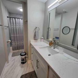 uma casa de banho com um lavatório, um espelho e um chuveiro em Affordable One Bedroom Rockford em Rockford