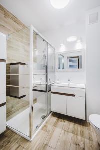 a bathroom with a shower and a sink and a toilet at Apartament Niko in Toruń