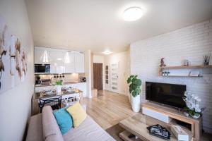 Gallery image of Apartament Niko in Toruń +57 photos