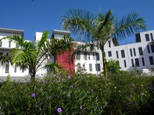 a group of buildings with palm trees and purple flowers at Ti case a moin - Joli T2 en bord de mer in Saint-Pierre