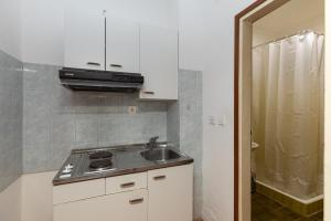 Kuchyň nebo kuchyňský kout v ubytování Apartment Zdravka